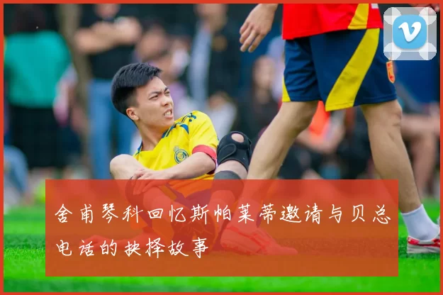 舍甫琴科回忆斯帕莱蒂邀请与贝总电话的抉择故事