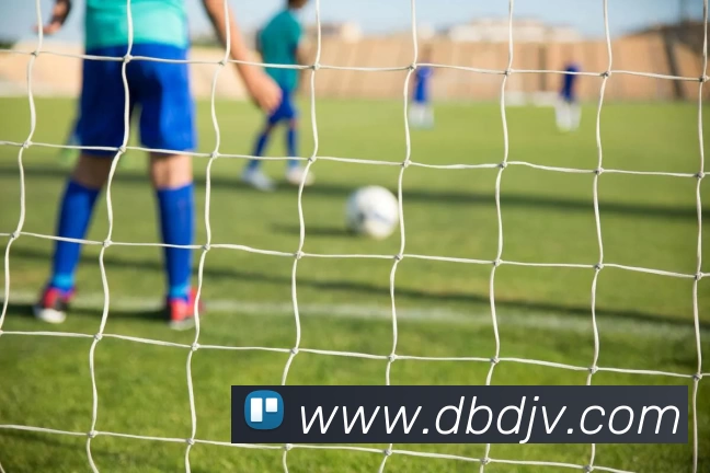 DB电竞APP 封面图